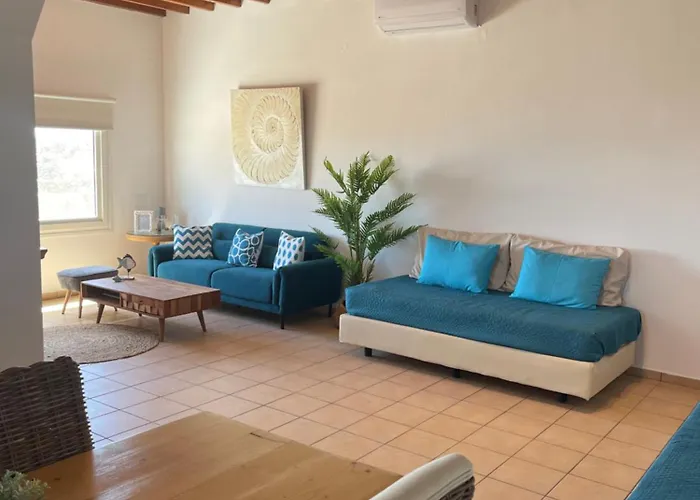 Villa Agyra House Super Paradise Beach (Mykonos)