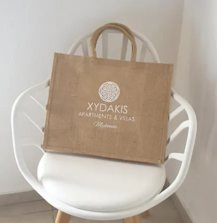 Agyra House Super Paradise Beach (Mykonos)